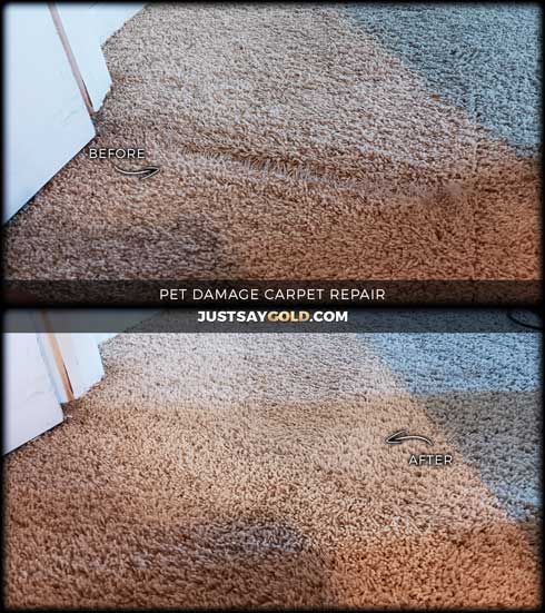 assets/images/causes/slider/site-carpet-repair-company-prices-in-roseville-ca-moondancer-circle