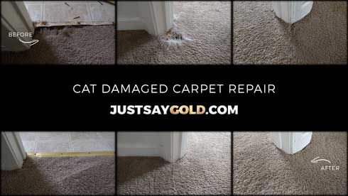 assets/images/causes/slider/site-cat-damaged-carpet-repair-in-sacramento-ca-aviator-circle