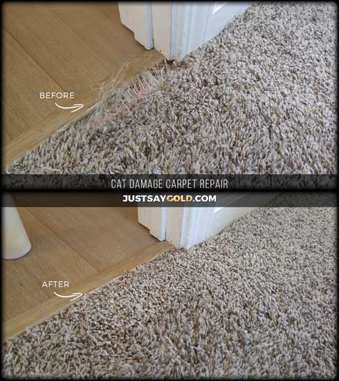 assets/images/causes/slider/site-cat-damaged-carpet-repair-near-sacramento-ca-3rd-avenue