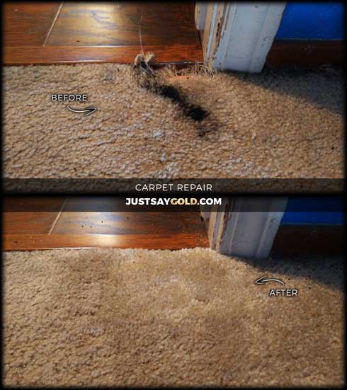 assets/images/causes/slider/site-damaged-carpet-repair-fix-in-sacramento-ca-wulff-lane