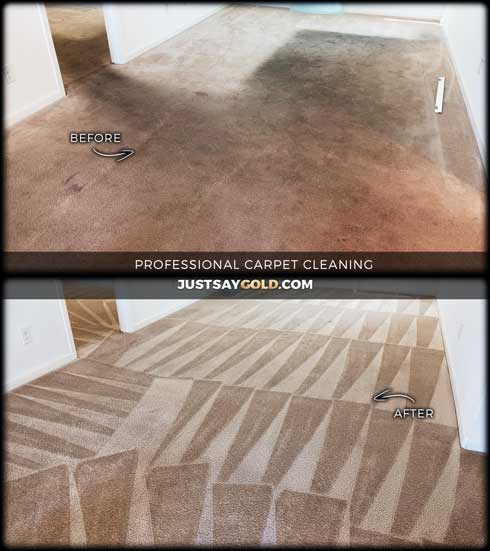 assets/images/causes/slider/site-dirty-carpet-cleaning-service-in-natomas-sacramento-ca-juneberry-circle