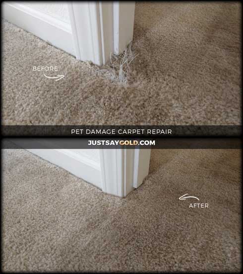 assets/images/causes/slider/site-dog-or-cat-damage-carpet-repair-fix-natomas-sacramento-ca-signac-court