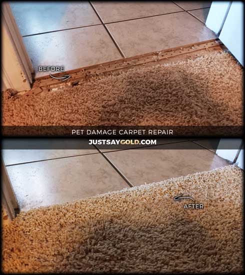 assets/images/causes/slider/site-how-to-fix-damaged-carpet-at-door-roseville-ca-moondancer-circle
