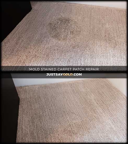 assets/images/causes/slider/site-mold-stained-carpet-patch-repair-near-roseville-ca-yorktown-court