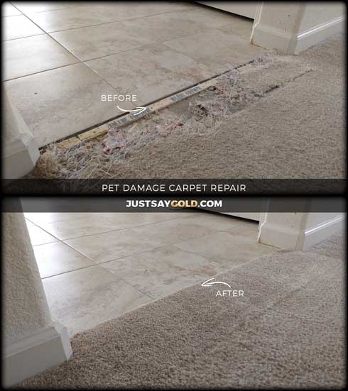 assets/images/causes/slider/site-pet-damage-carpet-repair-fix-natomas-sacramento-ca-signac-court