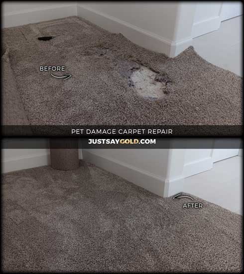 assets/images/causes/slider/site-pet-damage-carpet-repair-in-west-roseville-ca-trinity-alps-way