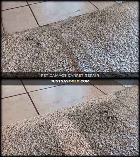 assets/images/causes/slider/site-pet-damage-carpet-repair-service-in-roseville-ca-moondancer-circle