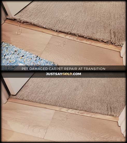 assets/images/causes/slider/site-pet-damaged-carpet-repair-at-transition-in-roseville-ca-yorktown-court