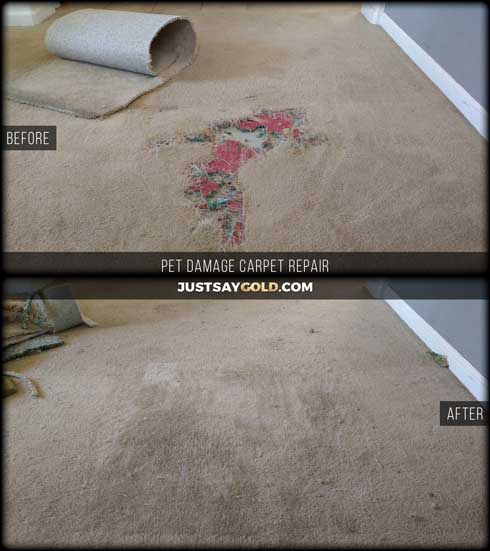 assets/images/causes/slider/site-pet-damaged-carpet-repair-companies-near-natomas-sacramento-ca-zurlo-way