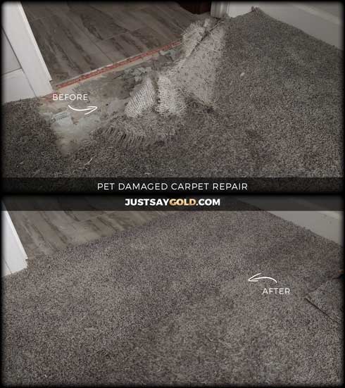 assets/images/causes/slider/site-pet-damaged-carpet-repair-fix-in-roseville-ca-hacienda-drive