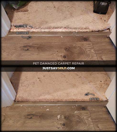 assets/images/causes/slider/site-pet-damaged-carpet-repair-in-lincoln-crossing-ca-clover-meadows