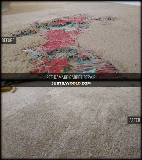 assets/images/causes/slider/site-pet-damaged-carpet-repair-natomas-sacramento-ca-zurlo-way