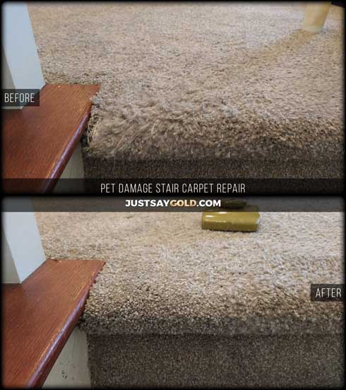 assets/images/causes/slider/site-pet-damaged-carpet-repair-on-stairs-natomas-sacramento-ca-jade-tree-circle