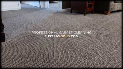 assets/images/causes/slider/site-professional-carpet-cleaning-service-in-lincoln-ca-salerno-place