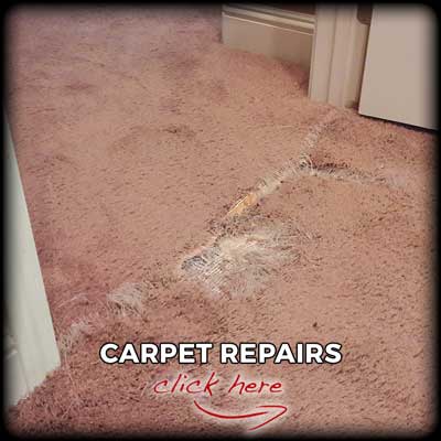 carpet-repair-services-logo