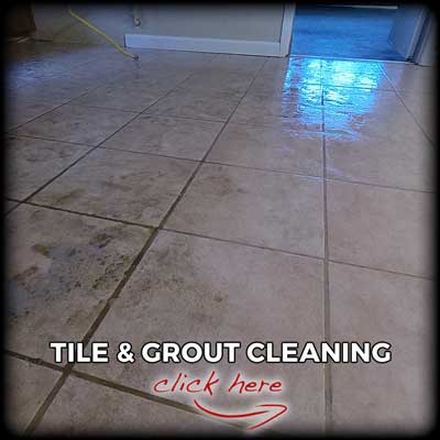 tile-and-grout-cleaning-services-logo