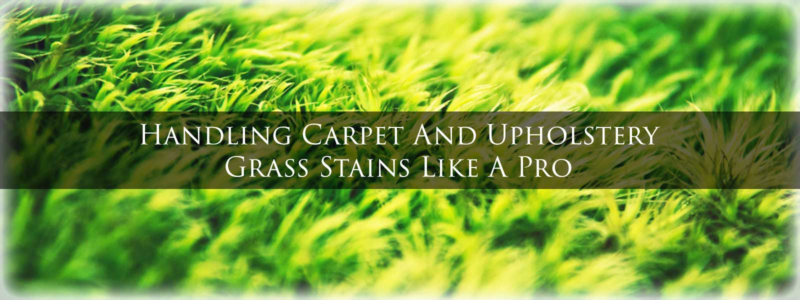 Handling-Carpet-And-Upholstery-Grass-Stains-Like-A-Pro