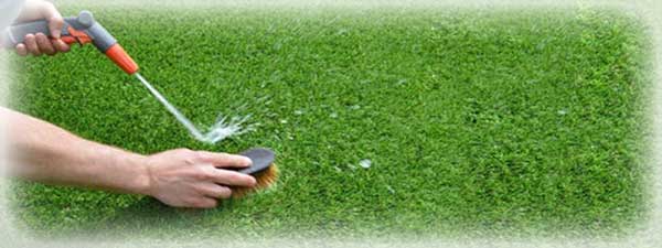 How-to-remove-grass-stains-from-carpets