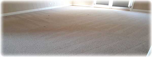 carpet-cleaning-el-dorado-hills-master-bedroom