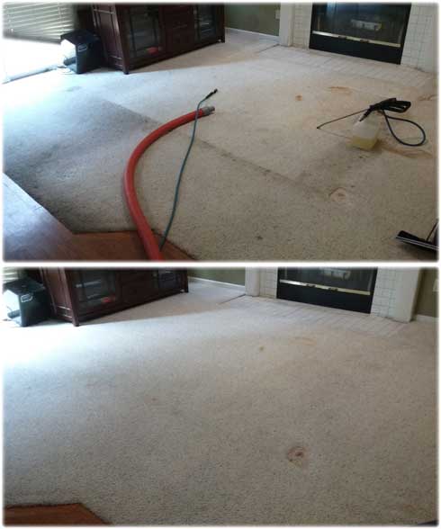 Carpet Cleaning Rocklin CA 95765  Best Carpet Cleaning Service  Gold Coast Flooring