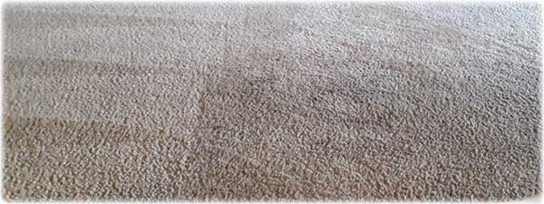 dirty-carpet-and-how-to-clean-it