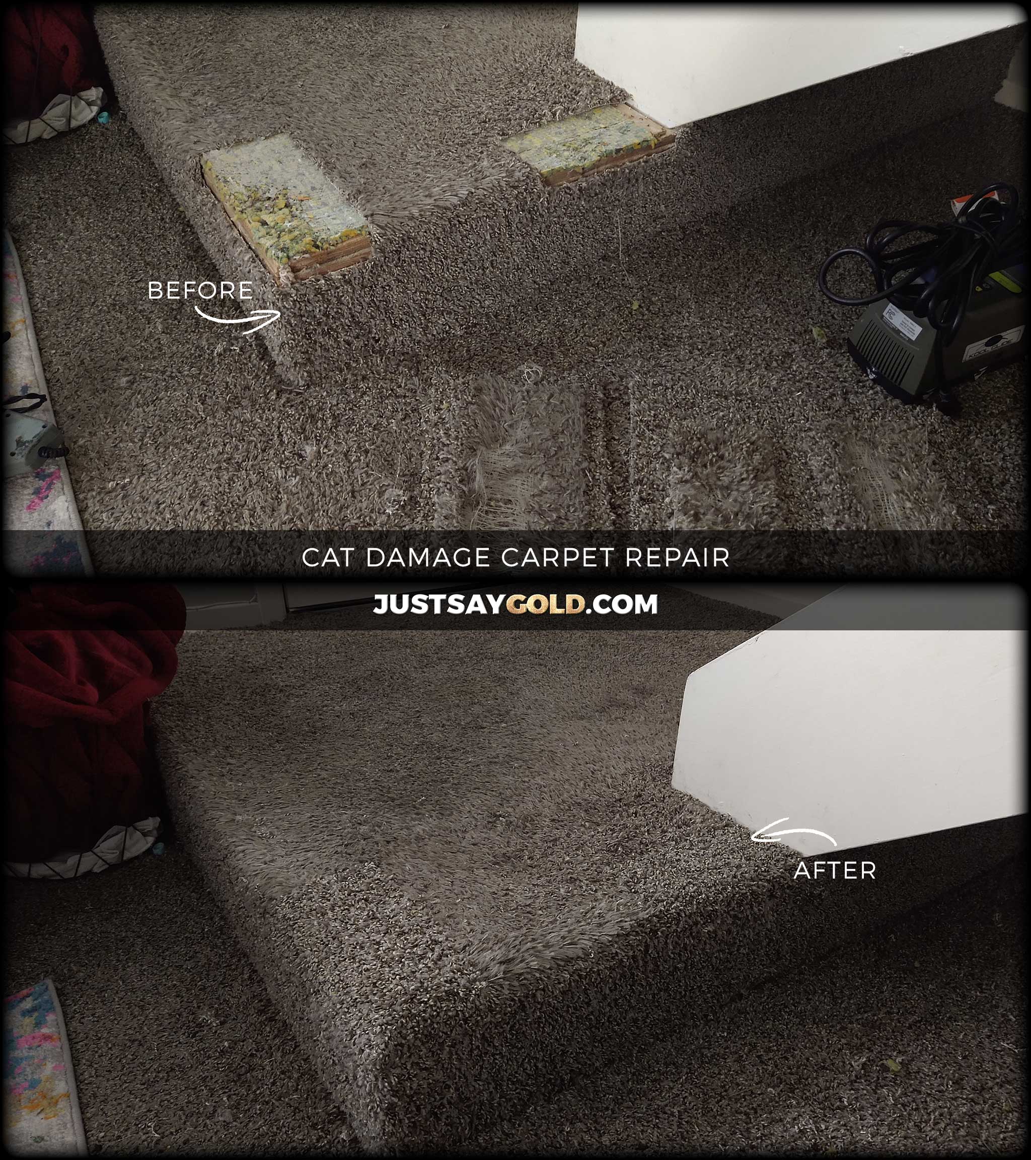 Pet Damage Carpet Patch In Sacramento, CA - (916)312-7000