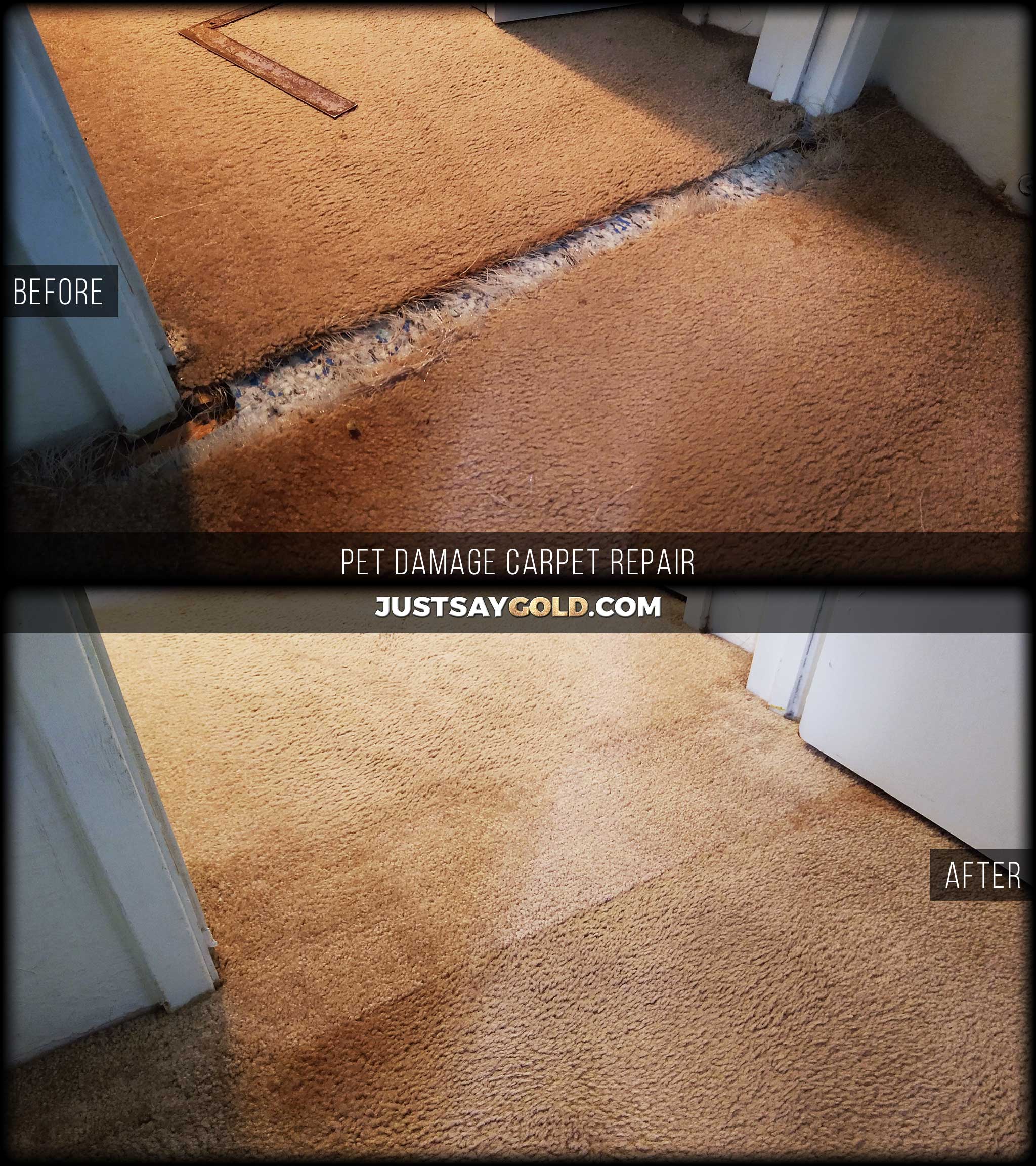 How would you go about patching this pet damaged carpet? I do have