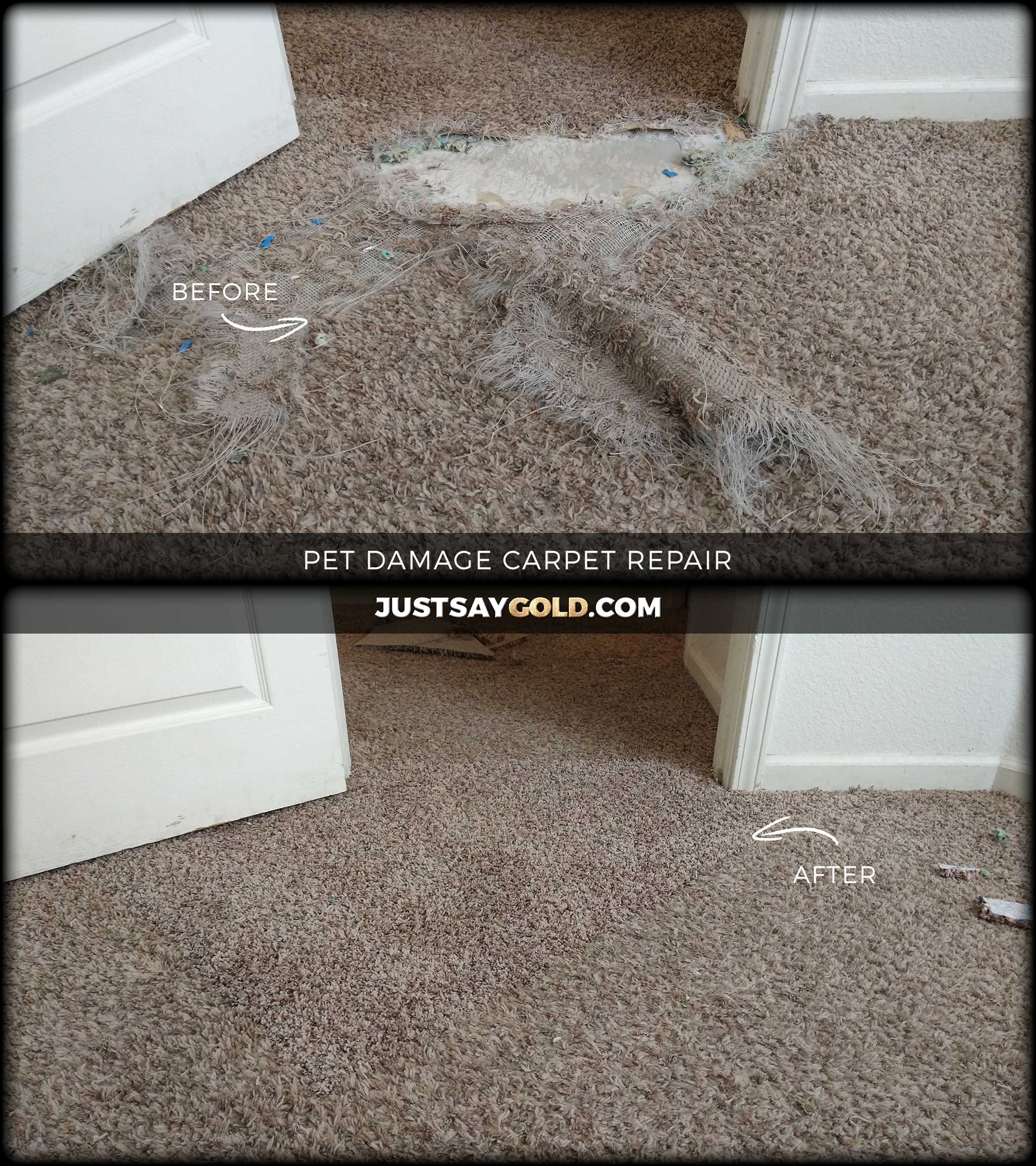 How would you go about patching this pet damaged carpet? I do