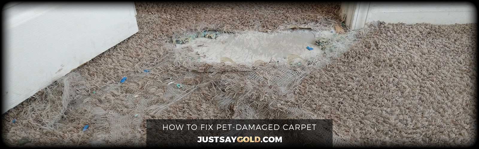 How to Fix Pet-Damaged Carpet (Dog Urine, Scratching & Tears) – Complete Guide