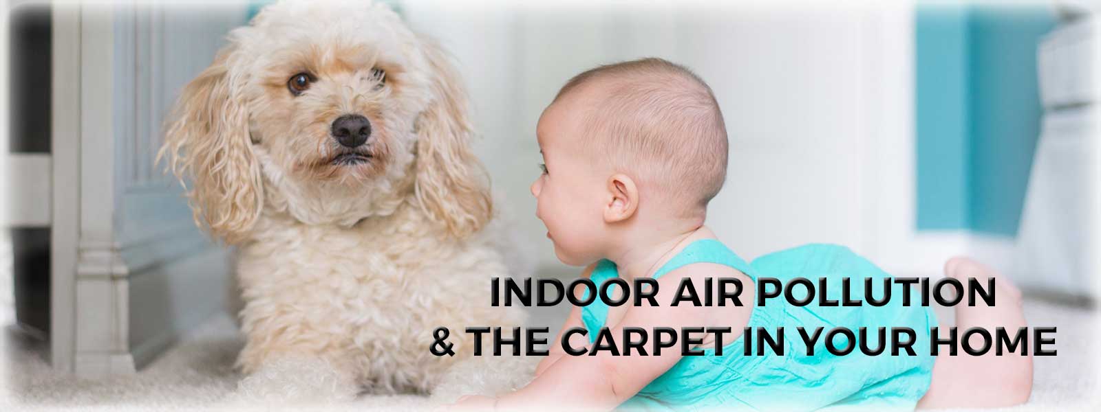 indoor-air-pollution-and-the-carpet-in-your-home