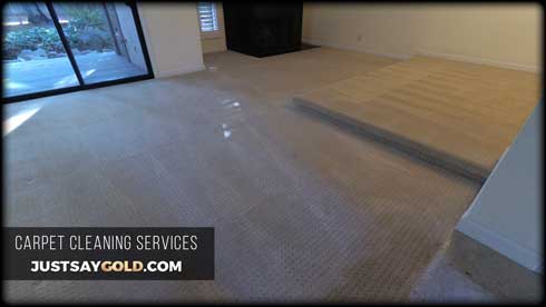 assets/images/causes/slider/site-best-carpet-cleaning-near-arden-arcade-sacramento-ca-exeter-square