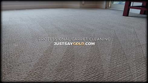 Best Rated Carpet Cleaning Service In Loomis CA