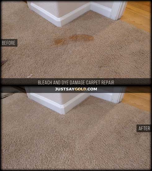 assets/images/causes/slider/site-bleach-and-dye-damage-carpet-repair-carmichael-ca-perrin-way