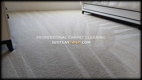 assets/images/causes/slider/site-carpet-cleaner-near-rancho-cordova-ca-seahaven-way
