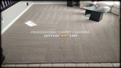 assets/images/causes/slider/site-carpet-cleaner-prices-near-elk-grove-ca-s-camden-way