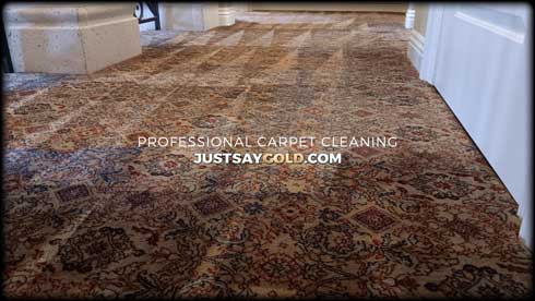 assets/images/causes/slider/site-carpet-cleaning-at-villa-arden-hills-club-sacramento-ca