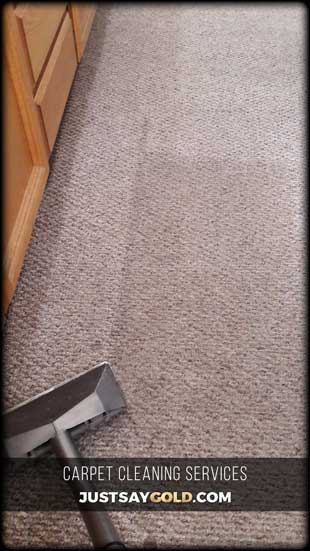 assets/images/causes/slider/site-carpet-cleaning-berber-carpet-repair-client-folsom-ca-orange-blossom-circle