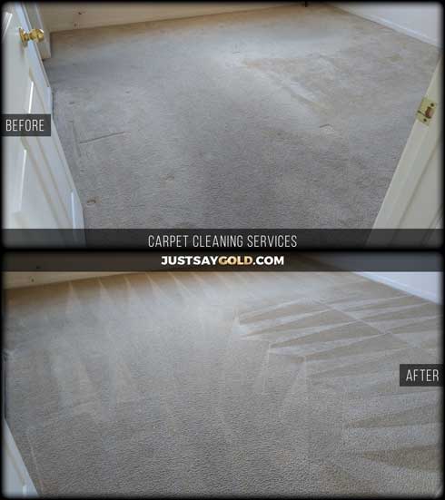 assets/images/causes/slider/site-carpet-cleaning-companies-west-sacramento-ca-snapdragon