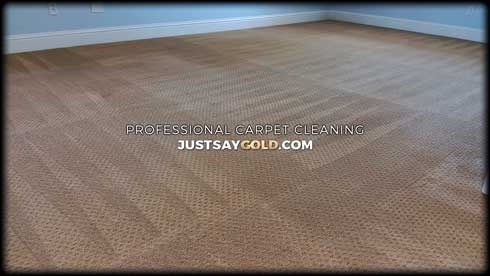 Carpet Cleaning Company Local In Folsom