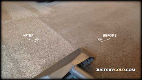 assets/images/causes/slider/site-carpet-cleaning-company-near-auburn-ca-meadow-brooks-drive
