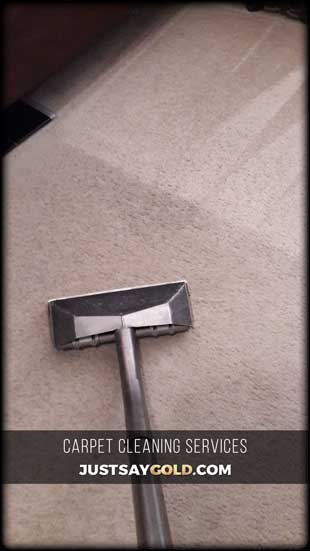 assets/images/causes/slider/site-carpet-cleaning-company-near-me-folsom-ca-mallard-circle