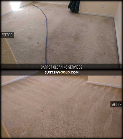 assets/images/causes/slider/site-carpet-cleaning-company-near-west-sacramento-ca-snapdragon