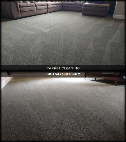 assets/images/causes/slider/site-carpet-cleaning-in-pocket-greenhaven-sacramento-trumph-court