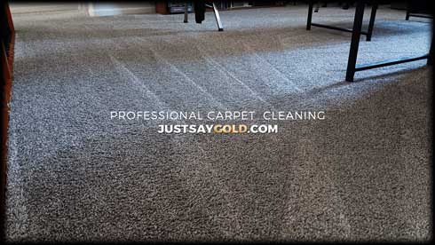 assets/images/causes/slider/site-carpet-cleaning-in-rocklin-ca-fenway-circle