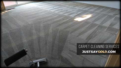 assets/images/causes/slider/site-carpet-cleaning-near-rancho-murieta-ca-lago-way