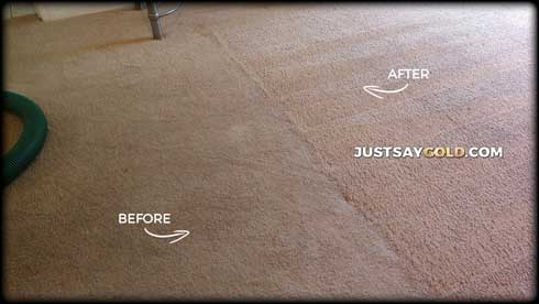 assets/images/causes/slider/site-carpet-cleaning-prices-in-auburn-ca-meadow-brooks-drive