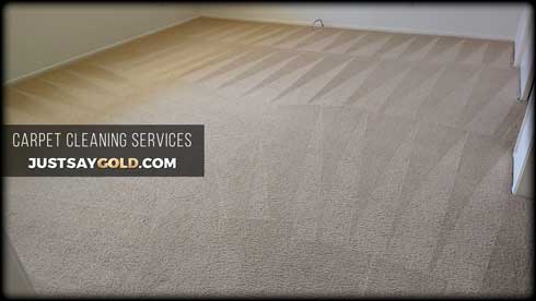 assets/images/causes/slider/site-carpet-cleaning-prices-near-pocket-greenhaven-sacramento-allenport-way