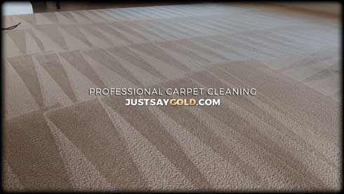 Professional Carpet Cleaning In Rancho Cordova CA