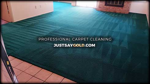 Carpet Cleaning Professional In Rosemont CA