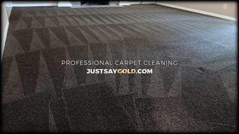 assets/images/causes/slider/Repeat Carpet Cleaning In Fair Oaks CA